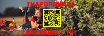 соль ск Гагарин