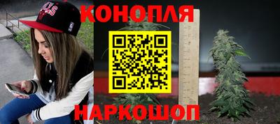 соль ск Гагарин